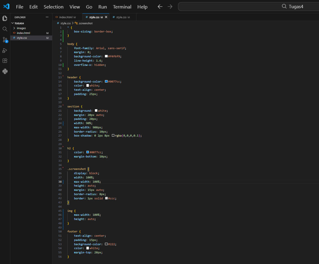 CSS Code Screenshot